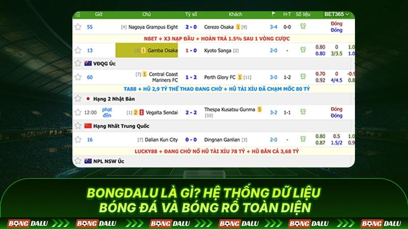 Bongdalu là gì? hệ thống dữ liệu bóng đá và bóng rổ toàn diện