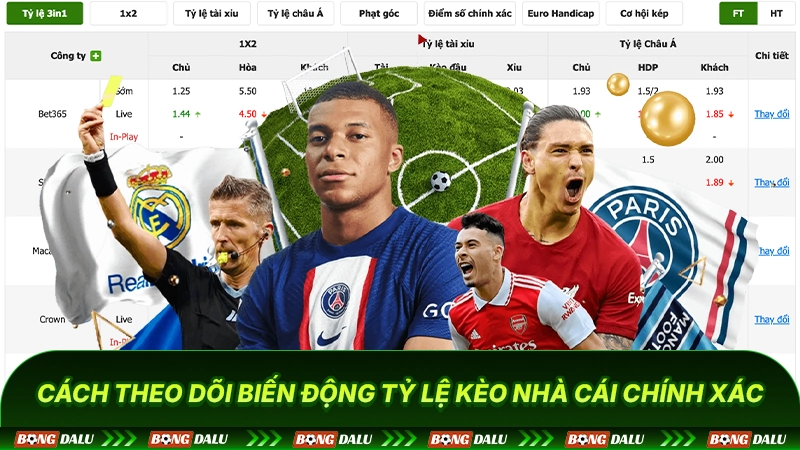 Cách theo dõi biến động tỷ lệ kèo nhà cái chính xác