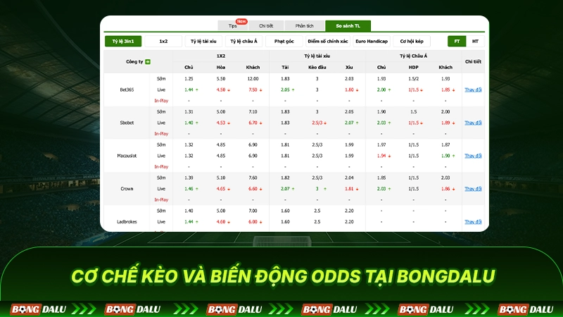 Cơ chế kèo và biến động Odds tại Bongdalu