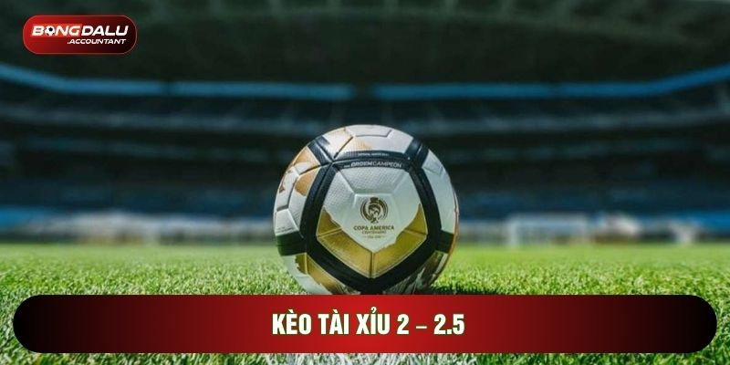 Kèo Tài Xỉu 2 – 2.5: Hình Thức Cược Hai Trái Đồng Nửa