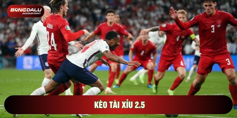 Kèo Tài Xỉu 2.5: Phân Tích Cửa Cược Phổ Biến Bóng Đá