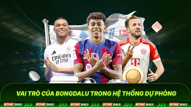 Vai trò của Bongdalu trong hệ thống dự phòng